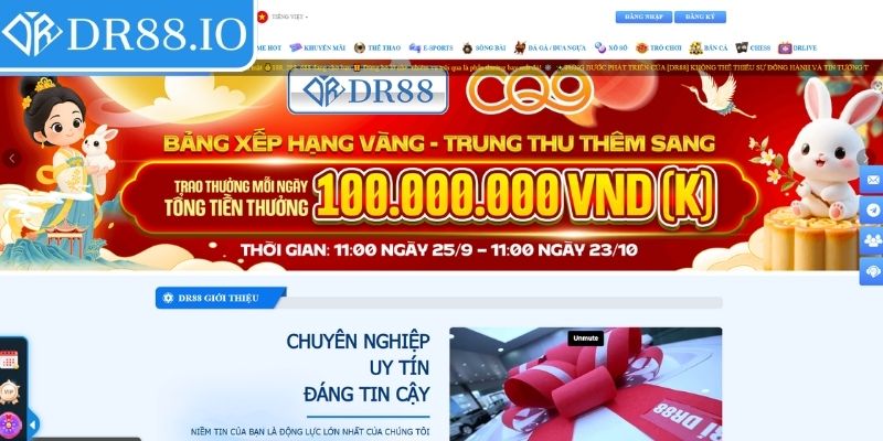 Lưu ý khi đăng nhập DR88