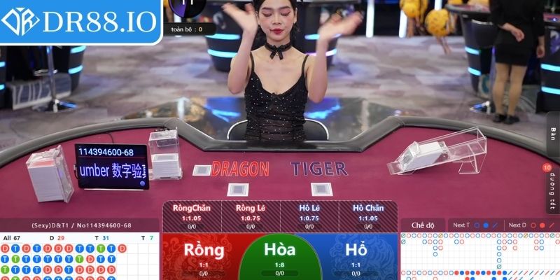 Rồng hổ trò chơi tốc độ và hấp dẫn